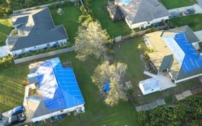 Solar Panels, Clotheslines, and Florida-Friendly Landscaping: What a Florida HOA Cannot Prohibit